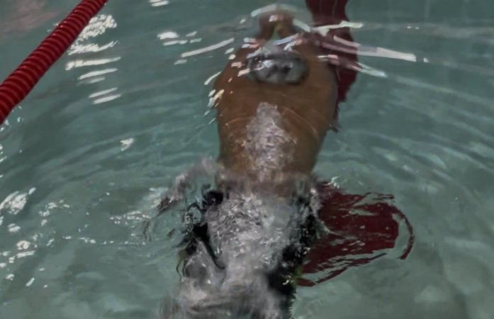  student swimming in a pool
